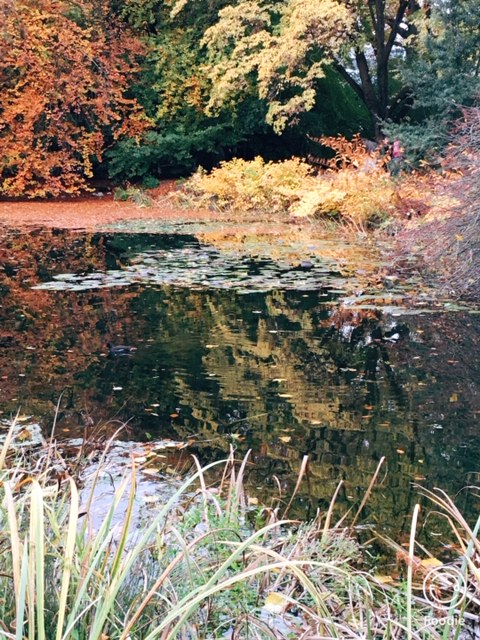 Teich im Berggarten